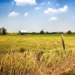 Rural Ontario
